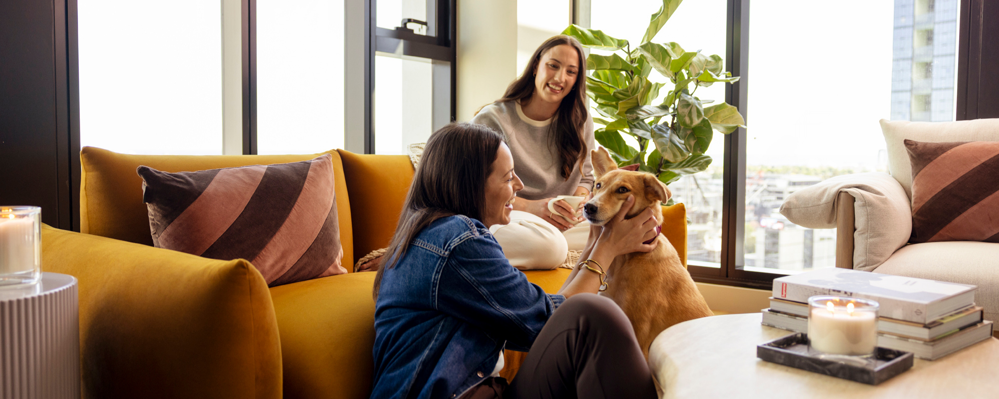 Pet friendly apartment interior